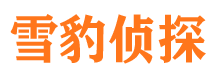 长海市侦探公司